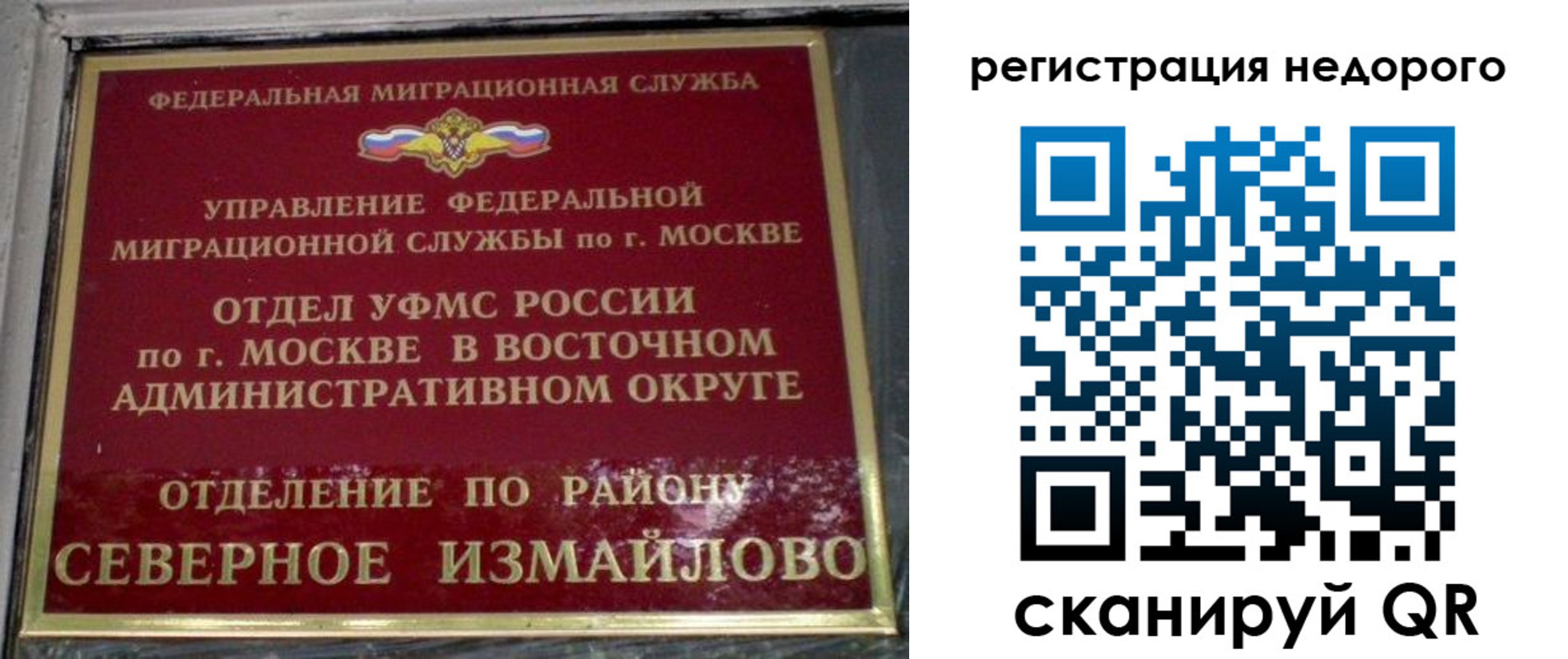 прописка в квартире в Щиграх